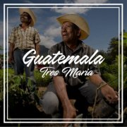 Káva GUATEMALA TRES MERIA  0,5kg zrnková