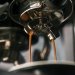 espresso-sage-ses880bss-45700.jpg
