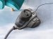 bezsackovy-vysavac-electrolux-ec41-4t-58925.jpg